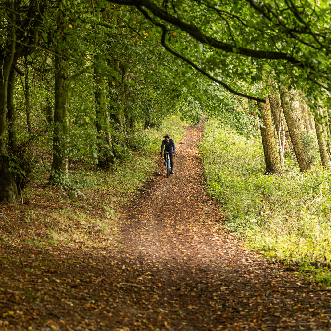 STRUGGLE MOORS GRAVEL, SUTTON BANK, YORKSHIRE, 2026