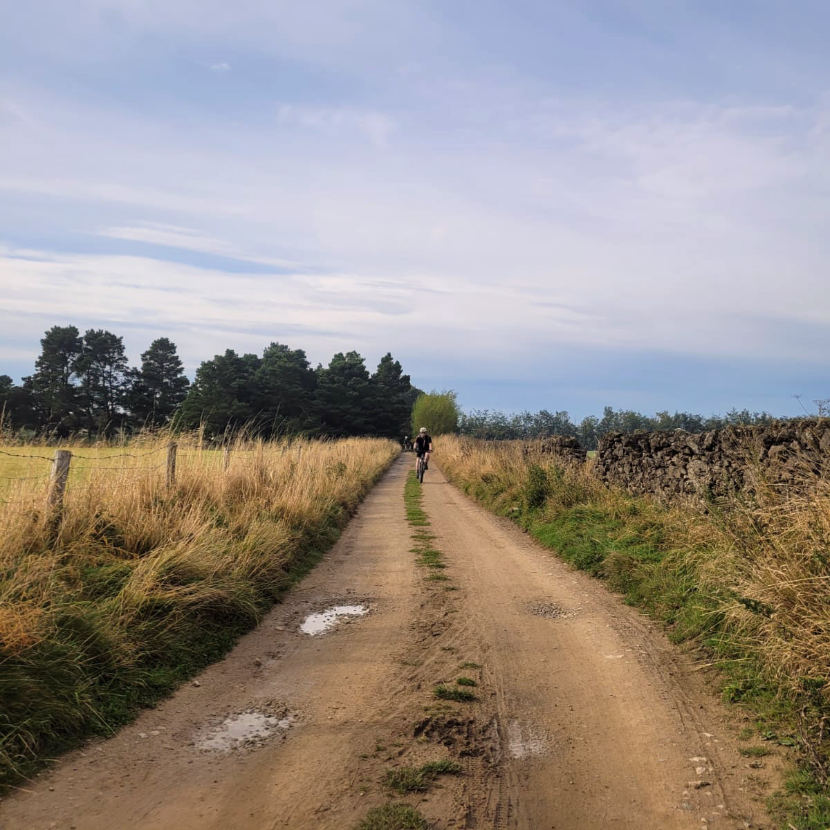 STRUGGLE MOORS GRAVEL, SUTTON BANK, YORKSHIRE, 2026