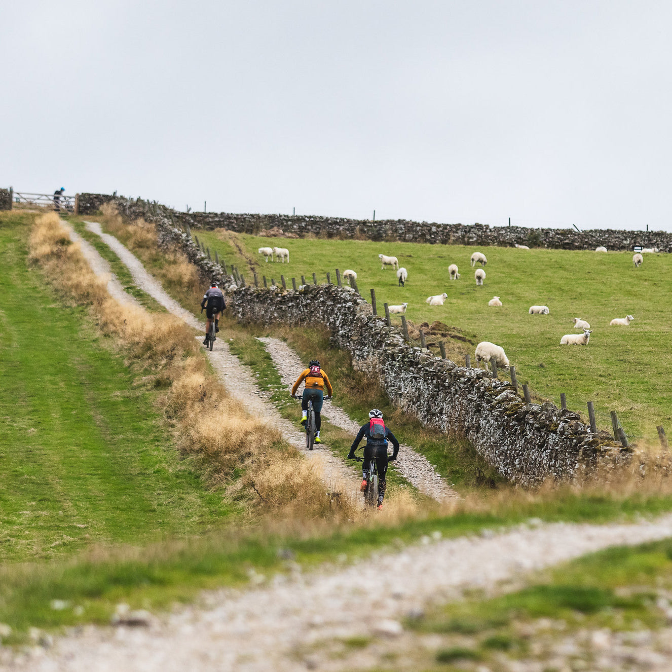 STRUGGLE BORDERLANDS GRAVEL, REETH, YORKSHIRE, 2026
