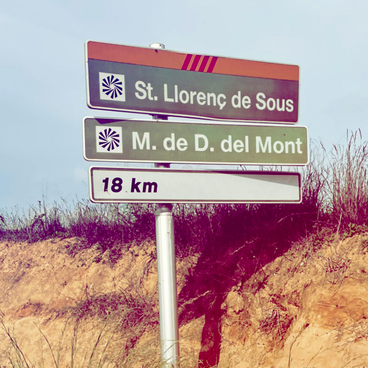 CYCLING TRAINING CAMP IN GIRONA IN OCTOBER 2026