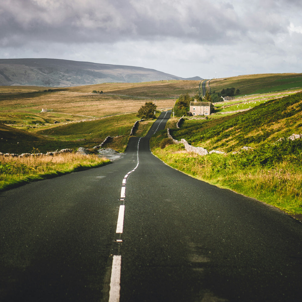 STRUGGLE DALES, HARROGATE, YORKSHIRE, MAY 2026