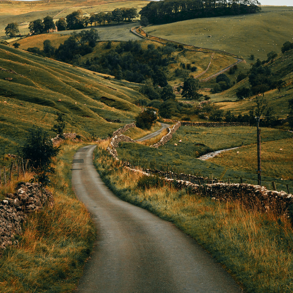 STRUGGLE DALES, HARROGATE, YORKSHIRE, MAY 2026