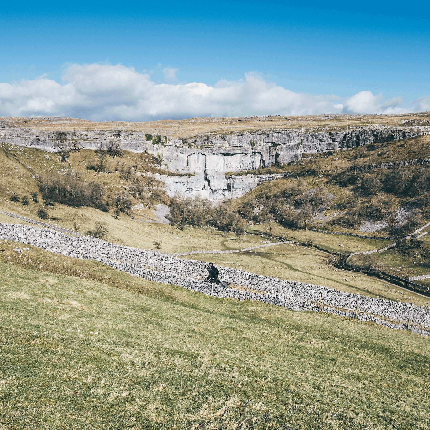 STRUGGLE DALES, HARROGATE, YORKSHIRE, MAY 2026