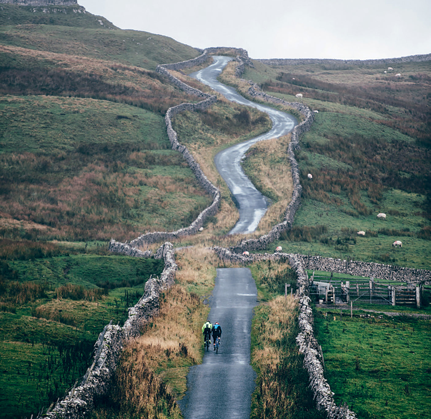 STRUGGLE DALES, HARROGATE, YORKSHIRE, 25TH MAY 2025